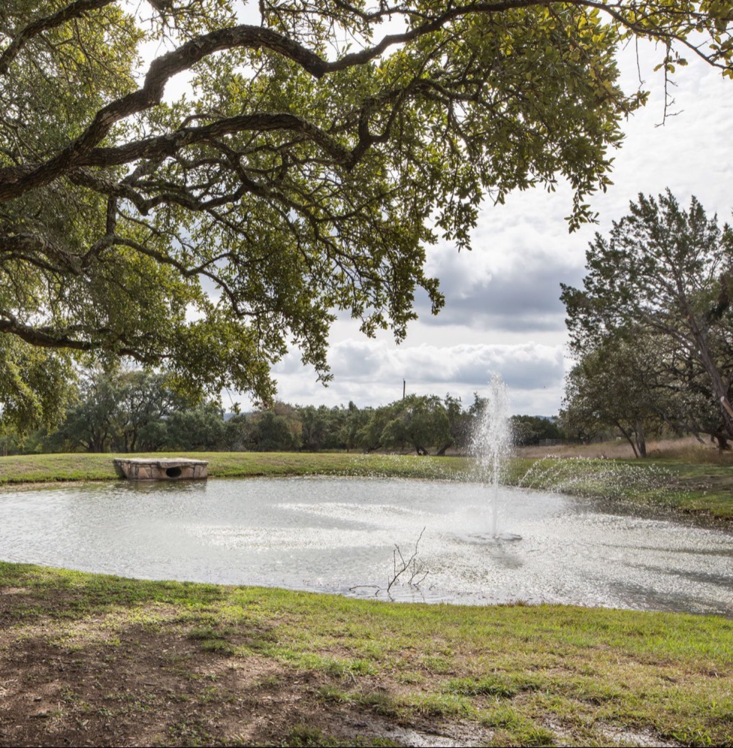 The pond with its fountain